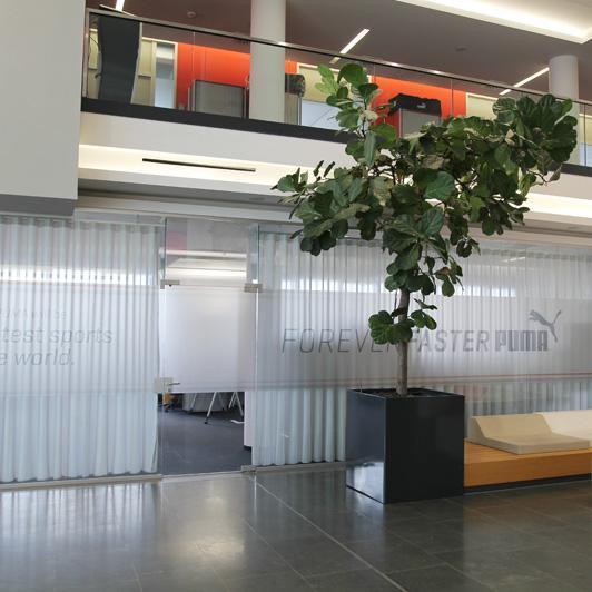 Foyer mit lichtdurchlässigem Akustikvorhang zu den Büros